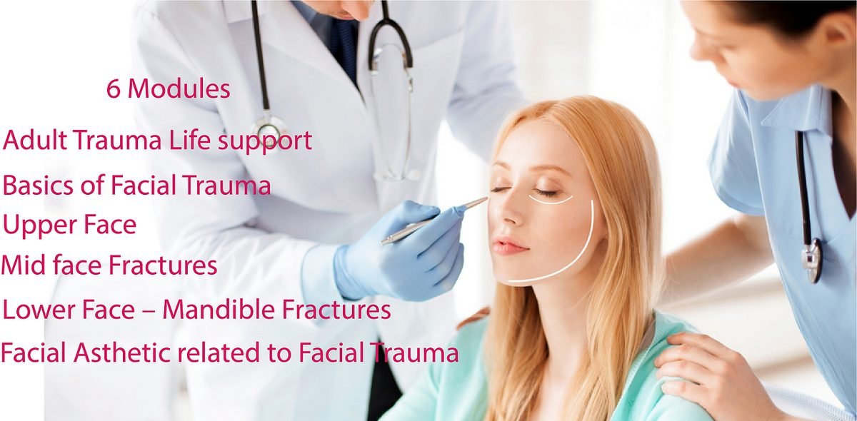 FACE Academy course modules